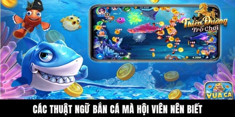 Các thuật ngữ bắn cá mà hội viên nên biết